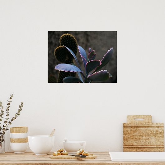 Poster Plantes du désert (Cuisine)