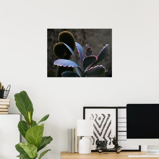 Poster Plantes du désert (Bureau à domicile)