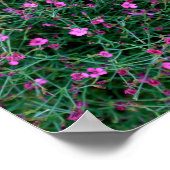 Poster plantes du jardin de Ken (Coin)