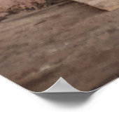 POSTER PLANTES FEUILLES VERTES (Coin)