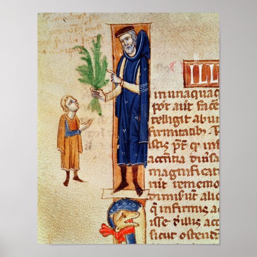 Poster Plantes médicinal (Devant)