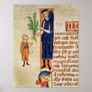 Poster Plantes médicinales