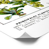 Poster Plantes médicinaux et fleurs par Adolphe Millot (Coin)