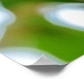 Poster Plantes Nepenthes (Coin)