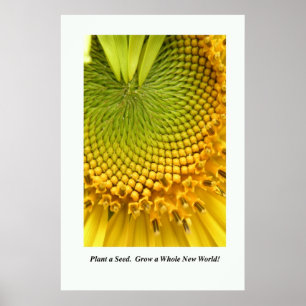 Poster Plantez une graine. Élevez un nouveau monde entier