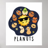 Poster Planuts Funny Astronomie Nuts Pun (Devant)