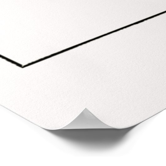 Poster Plaque 08 Discomedusae (Coin)