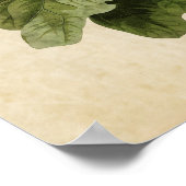 Poster Plaque 116 | Frugineuse Grive | Oiseaux d'Amérique (Coin)