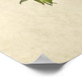 Poster Plaque 138 | Paruline du Connecticut | Oiseaux d'A (Coin)