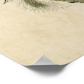 Poster Plaque 152 | Nuthatch à poitrine blanche (Coin)