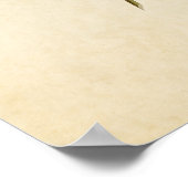 Poster Plaque 155 | Paruline bleue à gorge noire (Coin)