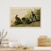 Poster Plaque 176 | Grous tacheté | Oiseaux d'Amérique (Cuisine)
