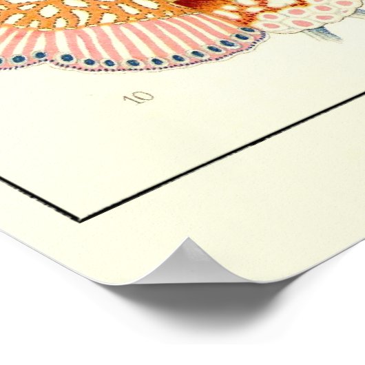 Poster Plaque 17 Siphonophorae (Coin)