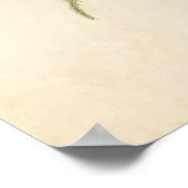 Poster Plaque 180 | Pinceau | Oiseaux d'Amérique (Coin)