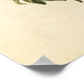 Poster Plaque 185 | Paruline de Bachman | Oiseaux d'Améri (Coin)