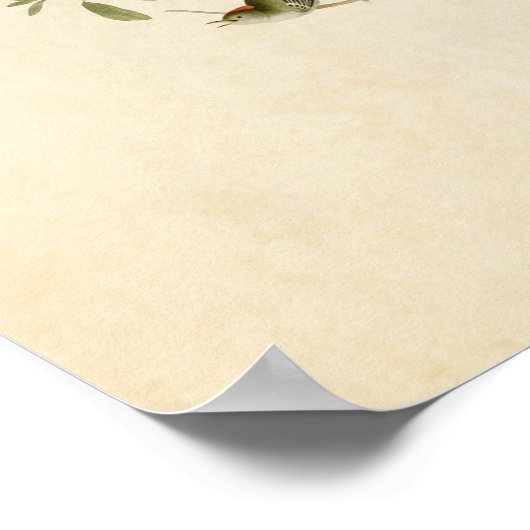 Poster Plaque 195 | Ruby-Crowned Wren | Oiseaux d'Amériqu (Coin)