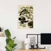 Poster Plaque 206 | Canard d'été ou de bois | Oiseaux d'A (Bureau à domicile)