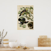 Poster Plaque 206 | Canard d'été ou de bois | Oiseaux d'A (Cuisine)