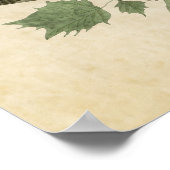 Poster Plaque 206 | Canard d'été ou de bois | Oiseaux d'A (Coin)