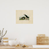 Poster Plaque 213 | Puffin | Oiseaux d'Amérique (Cuisine)