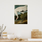 Poster Plaque 226 | Grue blanche | Oiseaux d'Amérique (Cuisine)