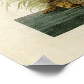 Poster Plaque 232 | Merganser à capuchon | Oiseaux d'Amér (Coin)