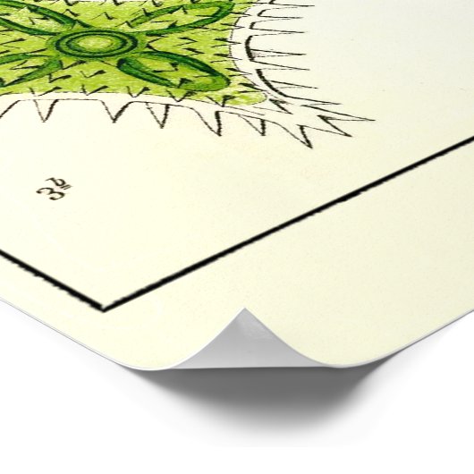 Poster Plaque 24 Desmdiea (Coin)