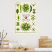 Poster Plaque 24 Desmdiea (Cuisine)