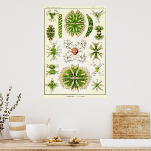 Poster Plaque 24 Desmdiea (Cuisine)