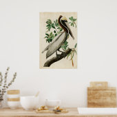 Poster Plaque 251 | Pélican Brown | Oiseaux d'Amérique (Cuisine)