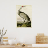 Poster Plaque 261 | Grue blanche | Oiseaux d'Amérique (Cuisine)