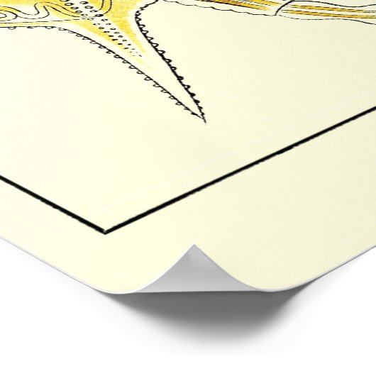 Poster Plaque 32 Rotatoria (Coin)