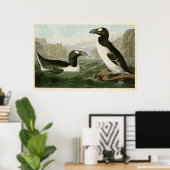 Poster Plaque 341 | Great Auk | Oiseaux d'Amérique (Bureau à domicile)