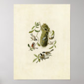 Poster Plaque 353 | Souris à dos de châtaignes (Devant)