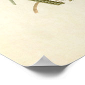 Poster Plaque 355 | Finch de MacGillivray (Coin)