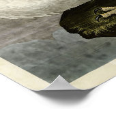 Poster Plaque 366 | Islande ou Jer Falcon (Coin)