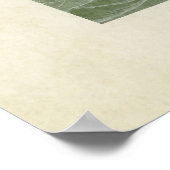 Poster Plaque 403 | Canard oculaire doré | Oiseaux d'Amér (Coin)