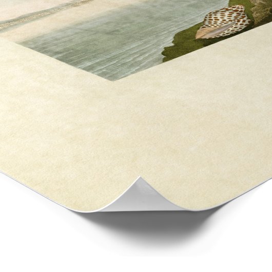 Poster Plaque 409 | Tern de Havell et Tern de Trudeau (Coin)