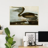 Poster Plaque 421 | Pélican Brown | Oiseaux d'Amérique (Bureau à domicile)