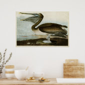Poster Plaque 421 | Pélican Brown | Oiseaux d'Amérique (Cuisine)