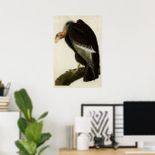 Poster Plaque 426 | Vautour californien | Oiseaux d'Améri (Bureau à domicile)