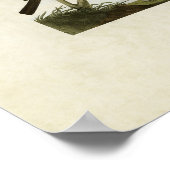 Poster Plaque 433 | Orioles, Goldfinch et Thrushes (Coin)