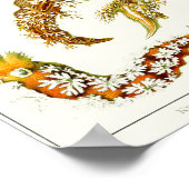 Poster Plaque 43. Nudibranchia. (Coin)