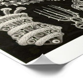 Poster Plaque 50. Thuroidea. (Coin)