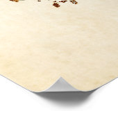 Poster Plaque 58 | Hermit Thrush | Oiseaux d'Amérique (Coin)