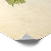 Poster Plaque 69 | Paruline à poitrine blanche | Oiseaux  (Coin)