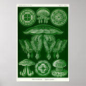 Poster Plaque 88. Mépris. (Devant)