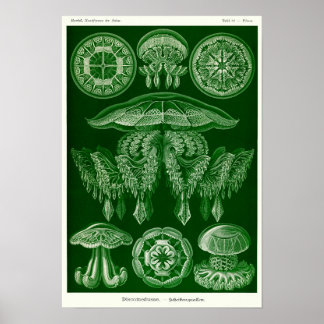 Poster Plaque 88. Mépris.