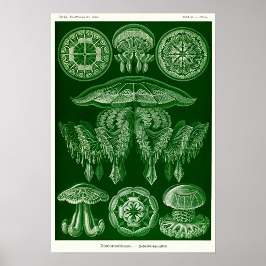 Poster Plaque 88. Mépris. (Devant)