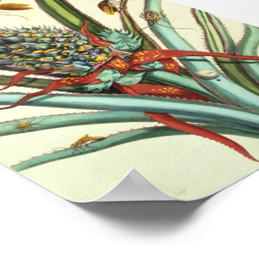 Poster Plaque de génération d'insectes 1 (Coin)